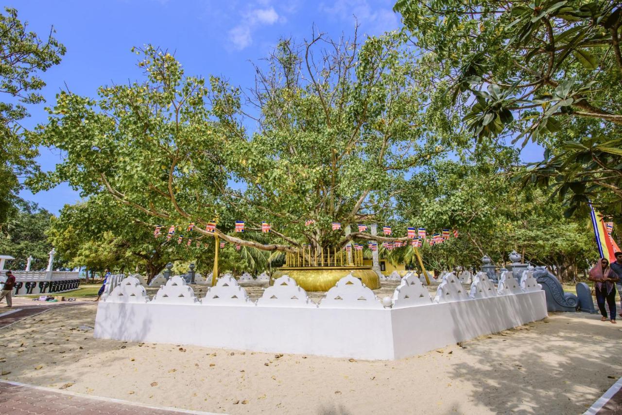 Thambu Illam Hotel Jaffna Kültér fotó