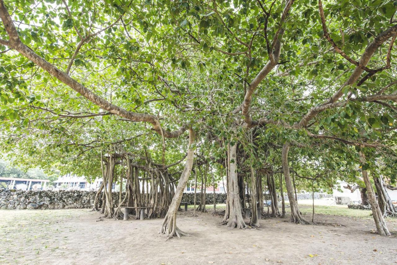 Thambu Illam Hotel Jaffna Kültér fotó